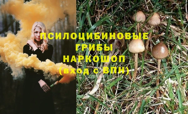 mix Аркадак
