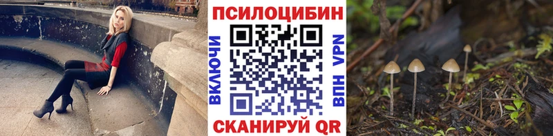Галлюциногенные грибы MAGIC MUSHROOMS  Дорогобуж 